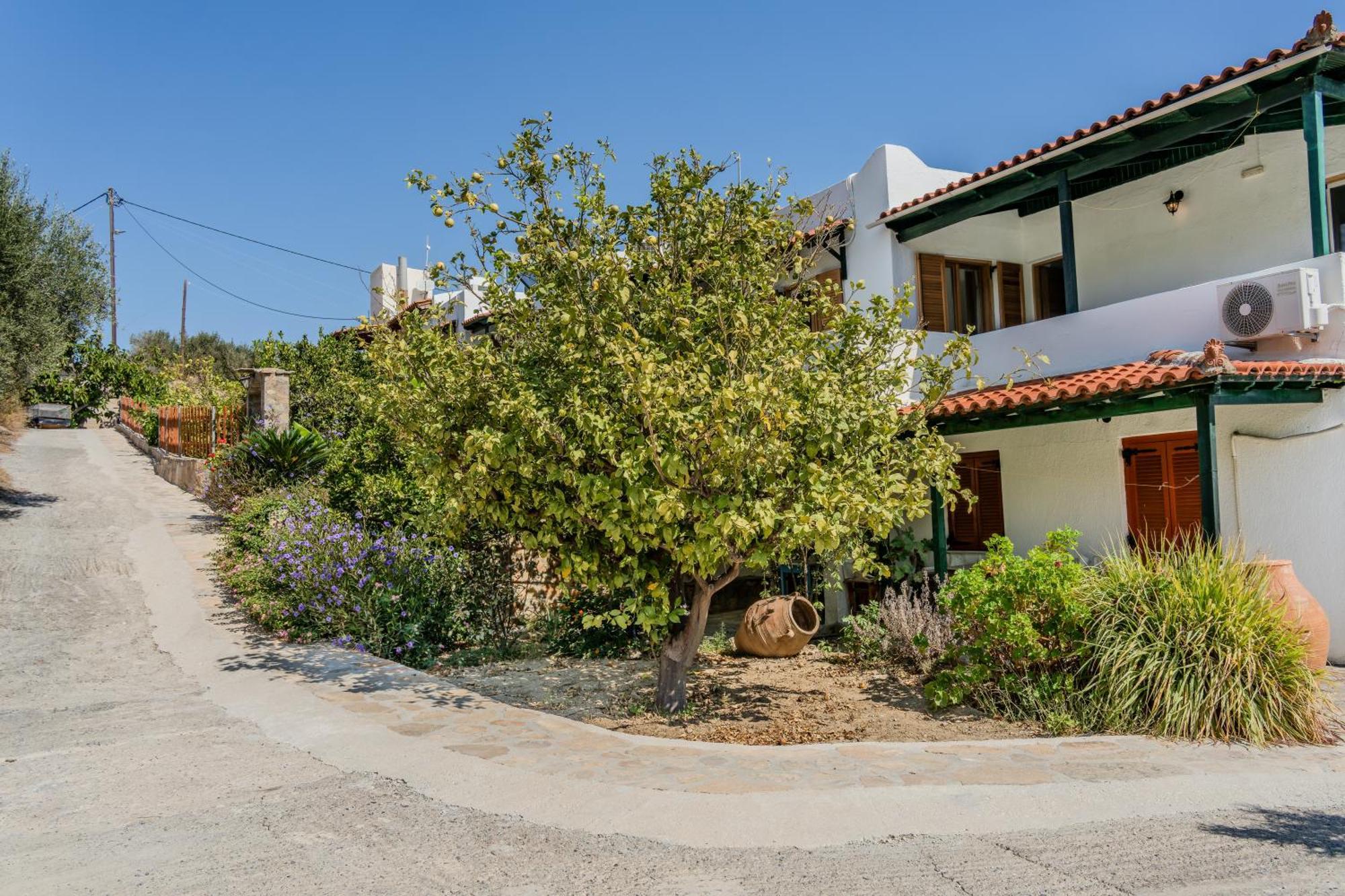 Athina * איסטרו